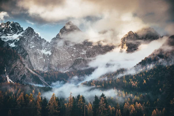 Autunno alberi di montagna paesaggio. Albero di montagna rocce in autunno. Autunno montagna rocce alberi scena — Foto Stock
