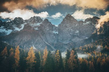 Slovenya 'nın Julian Alps şehrinde yaprakları değişen kaya dağı