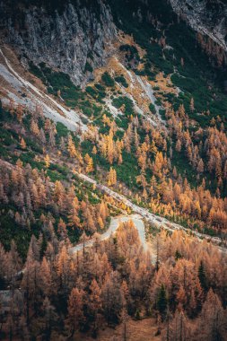 Dağlarda yol. Julian Alps, turuncu sonbahar ormanlarında seyahat ediyor..