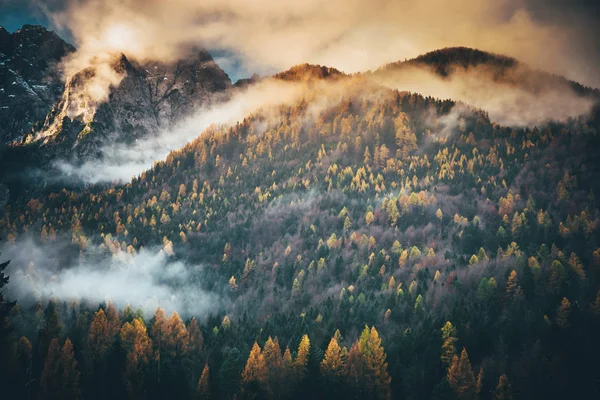 Bosque otoñal, naranjos y nubes. Alpes Julianos, montañas — Foto de Stock