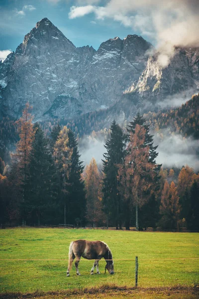 位于斯洛文尼亚Julian Alps的岩石山，树叶不断变化 — 图库照片
