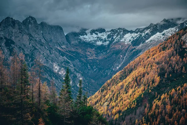 Sziklás hegy, narancssárga levelek Julian Alpokban, Szlovénia — Stock Fotó