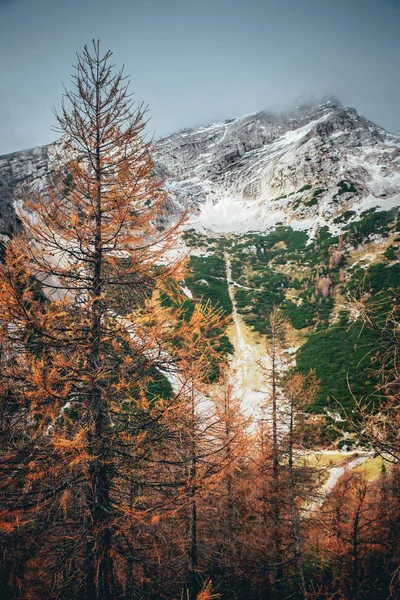 Φθινόπωρο στα βουνά — Φωτογραφία Αρχείου