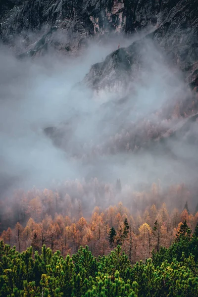 Осенний туман в лесу. Вид с воздуха в Альпах. Словения . — стоковое фото