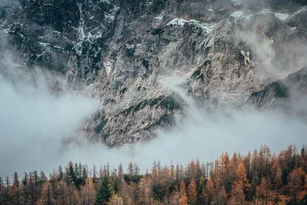 산에 두꺼운 안개 Goulet 전달 합니다. 조지아, Svaneti입니다. 유럽입니다. 코 카 서 스 산맥. — 스톡 사진