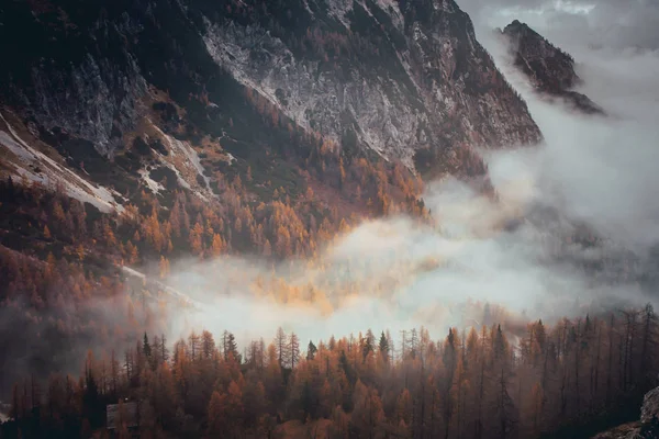 Nubes en el valle de las montañas de otoño naranja. Noviembre en el bosque de los Alpes — Foto de Stock