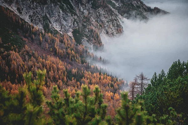 Nubes en las montañas de otoño. Vista aérea. Alpes, Italia, Europa — Foto de Stock