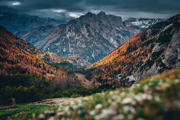 Autunno nelle Alpi Giulie, Slovenia. Passo Vrsic — Foto Stock