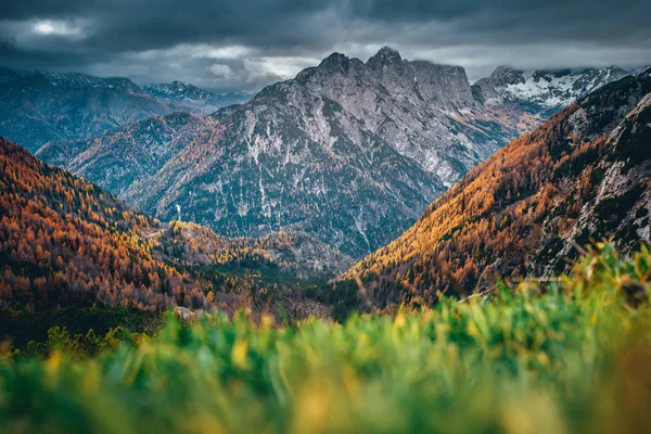 Sonbahar günü harika dağlık araziler. Arka planda Majestic Rock Mountain ile güneşli, peri masalı manzarası. Vahşi bölge. Slovenya, Julian Alps. Yaratıcı resim — Stok fotoğraf