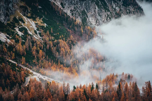 Köd az őszi völgyben a hegyekben. Alpok táj. Zöld, narancssárga és szürke színek — Stock Fotó