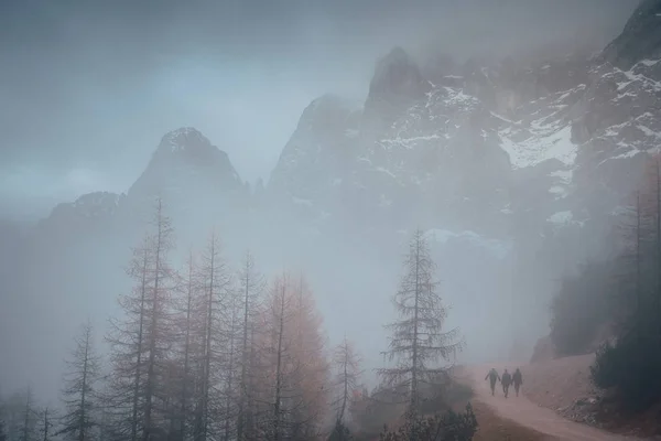 Dağlarda sisli sonbahar doğasında yürüyen üç turist. — Stok fotoğraf