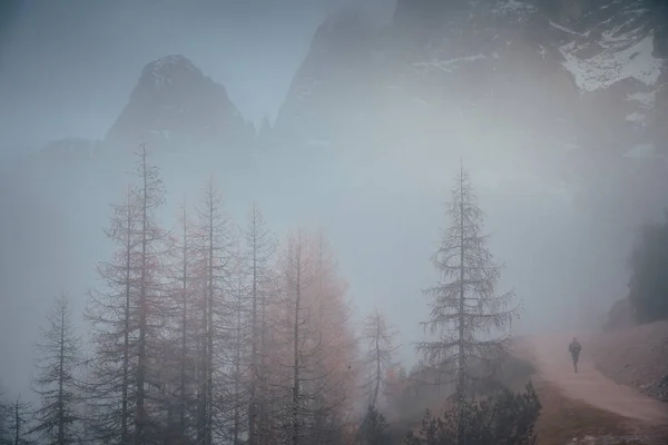 Dağlarda atlet eğitimi. Julian Alps 'te beyaz sis. Slovenya. Vrsic Geçidi — Stok fotoğraf