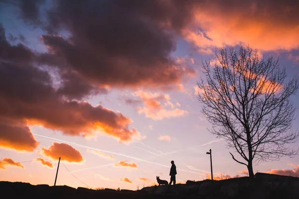 Ung man med sin gula labrador retriever i naturen — Stockfoto