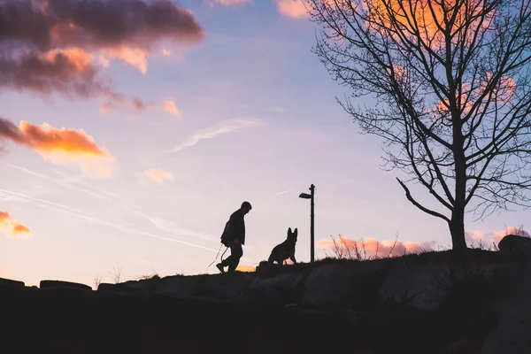 Silhueta de corredor com cão em nascer do pôr do sol — Fotografia de Stock