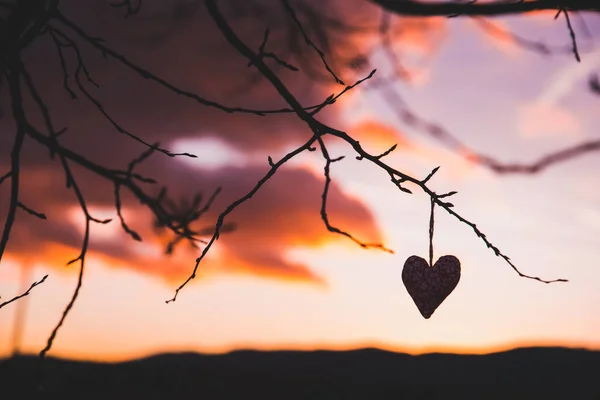 Σιλουέτα, καρδιά, ουρανός ηλιοβασιλέματος, πολύχρωμο τοπίο, σημάδι αγάπης — Φωτογραφία Αρχείου