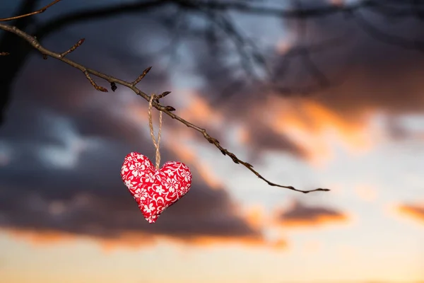 Bunte kleine schöne Herzen in der Abendnatur, Valentinstag Foto mit Edit Space — Stockfoto