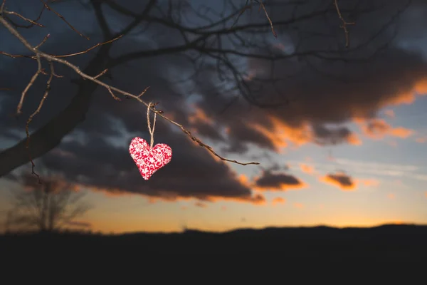 Coração vermelho, pôr do sol natureza, foto dos namorados, amor — Fotografia de Stock