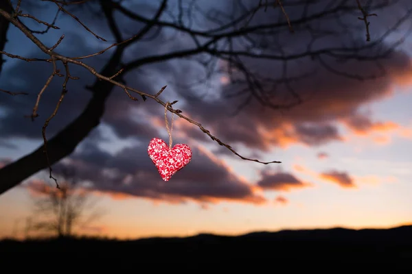 Handgemachtes rotes Herz am Baum - farbenfroher Sonnenuntergangshimmel, Valentinspostkarte oder Tapete — Stockfoto