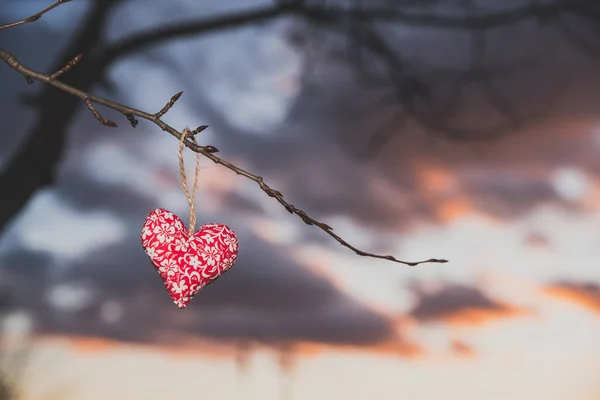 Coração na árvore, silhueta, foto dos namorados — Fotografia de Stock