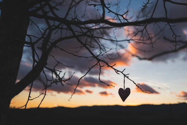 하트의 실루엣, 석양 하늘 배경, 다채 로운 사진 — 스톡 사진