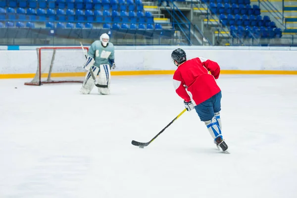 Hockey players on ice, professional hockey game, sport photo, goalie in background