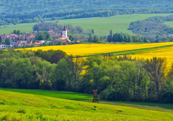 Сільський весняний пейзаж, жовті і зелені поля, церква і село — стокове фото