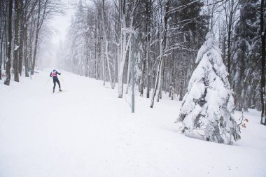 Beyaz kış doğasında profesyonel İskandinav kayakçı