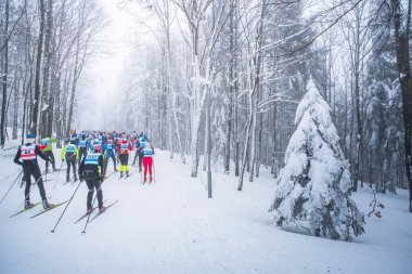 Güzel beyaz kış doğasında atlet, İskandinav kayak yarışı
