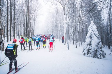Beyaz karlı kış doğasında profesyonel İskandinav kayak yarışı