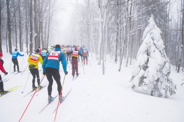 Profesyonel kros yarışı, İskandinav kayak sporu fotoğrafı, kış 