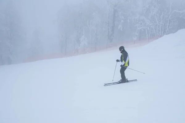 Skier White Background Winter Snow Edit Space — Stock Photo, Image