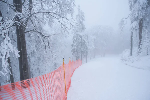 Skidort Professionell Nordisk Skidtävling Vit Natur — Stockfoto