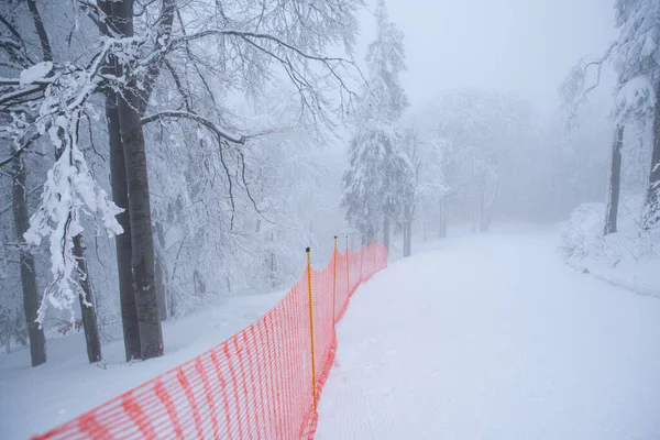 Snö Skidspår För Professionellt Lopp — Stockfoto