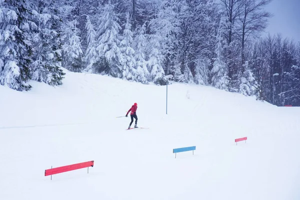 Narciarstwo Biegowe Białej Zimowej Naturze Profesjonalny Wyścig Zdjęcie Sportowe Przestrzeń — Zdjęcie stockowe