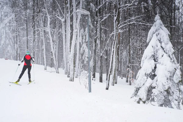Esquiador Nórdico Hermoso Bosque Blanco Invierno — Foto de Stock