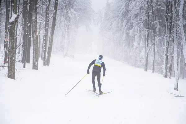Biegi Narciarstwo Biegowe Białej Zimie Natura Profesjonalny Wyścig Sport Zdjęcie — Zdjęcie stockowe