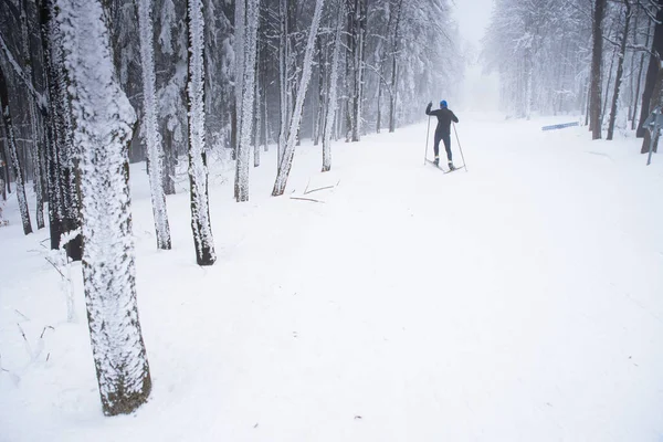 Biegi Narciarstwo Biegowe Białej Zimie Natura Profesjonalny Wyścig Sport Zdjęcie — Zdjęcie stockowe