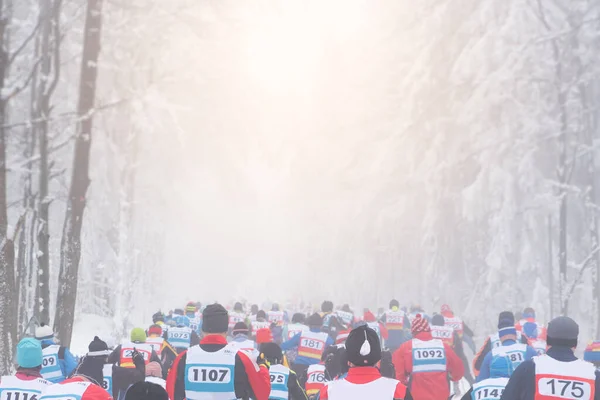 Professionele Nordic Ski Race Witte Besneeuwde Winternatuur — Stockfoto