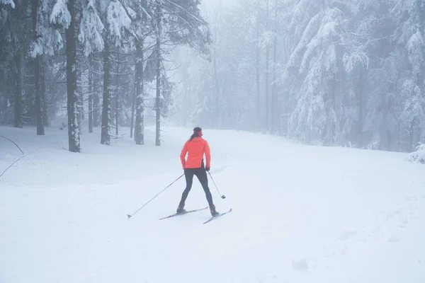 Woman Ride Cross Country Skiing White Winter Nature — Stock Photo, Image