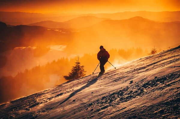 Skidåkare Kvällen Vinter Natur — Stockfoto