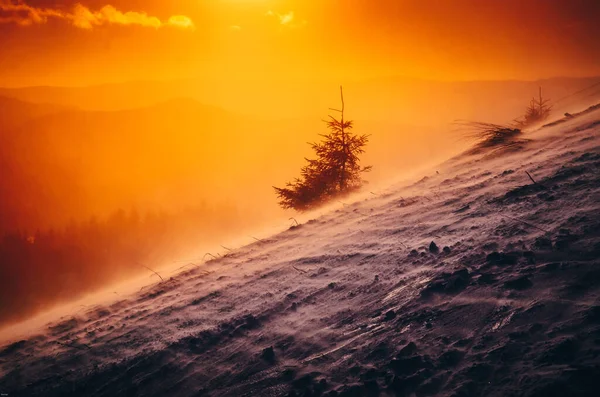 Teplé Zimní Světlo Západu Slunce — Stock fotografie