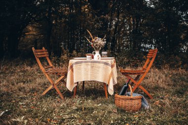 Renkli fotoğraf. Sonbahar doğasında öğle yemeği ve piknik için masa hazırlandı.
