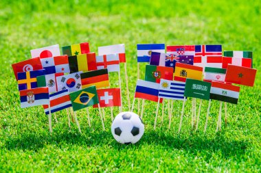 Tüm futbol ülkelerinin bayrakları yeşil çimlerde, futbol stadyumda.