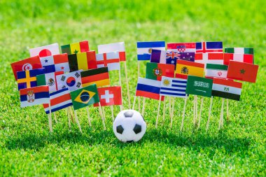 Futbol sahasında bayraklar, turnuva fotoğrafı. Hayranlar, destek konsepti fotoğrafı