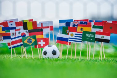 Futbol sahasında bayraklar, turnuva fotoğrafı. Hayranlar, destek konsepti fotoğrafı