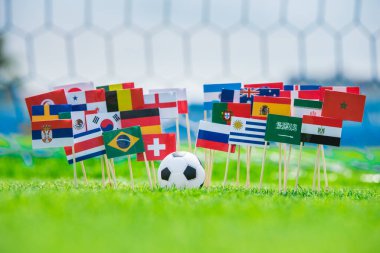 Futbol sahasında bayraklar, turnuva fotoğrafı. Hayranlar, destek konsepti fotoğrafı