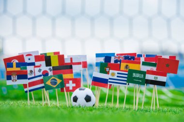 Tüm futbol ülkelerinin bayrakları yeşil çimlerde, futbol stadyumda.