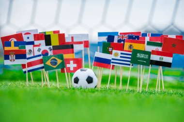 Futbol sahasında bayraklar, turnuva fotoğrafı. Hayranlar, destek konsepti fotoğrafı