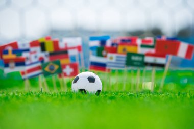 Tüm futbol ülkelerinin bayrakları yeşil çimlerde, futbol stadyumda.
