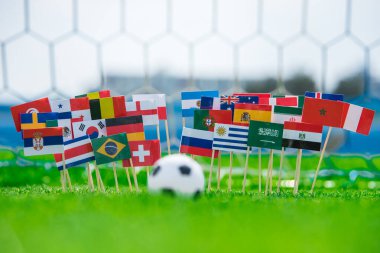 Futbol sahasında bayraklar, turnuva fotoğrafı. Hayranlar, destek konsepti fotoğrafı